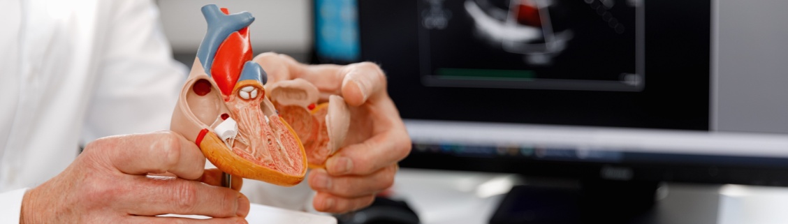 Médico com coração ilustrativo na mão